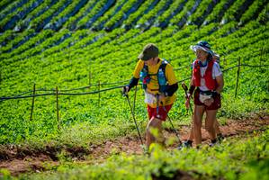 BIB: 
                            <button type="button" onclick="openModal(19162066)" class="btn btn-primary btn-sm float-right btn-popup" data-toggle="modal" data-target=".modal-high-quality">
                        <i class="fas fa-shopping-cart"></i> Add to Cart
                    </button>
                                            <button type="button" onclick="isThisMe(19162066, true)" class="btn btn-success btn-sm float-right btn-popup btn-isme hidden" data-toggle="tooltip" data-placement="bottom" title="นี่คือรูปของคุณใช่ไหม คลิกที่นี่เพื่อเอาเข้าอัลบั้ม">
                        <i class="fas fa-plus"></i> Add to album
                    </button>
                    <button type="button" onclick="isThisMe(19162066, false)" class="btn btn-warning btn-sm float-right btn-popup btn-isnotme hidden">
                        <i class="fas fa-ban"></i> Remove from album
                    </button>